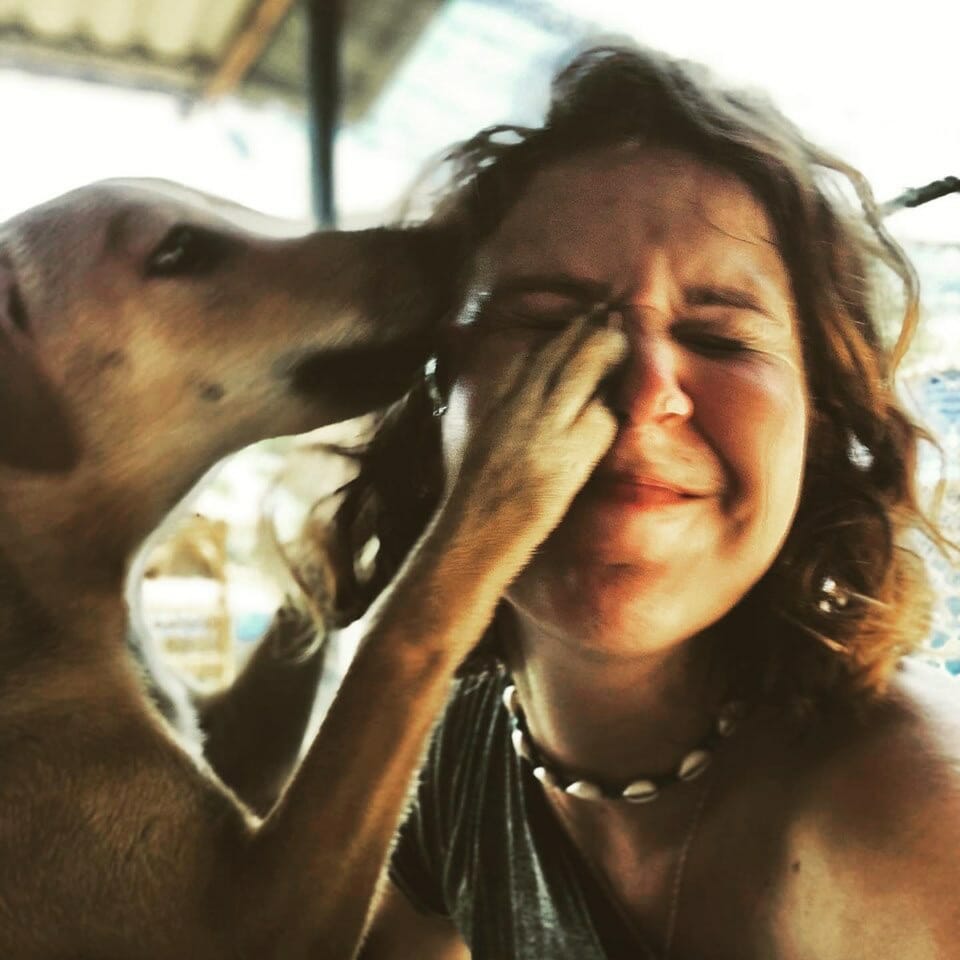 Attachment 1594647709 | Happy Dogs Koh Chang- animal welfare and shelter care Thailand Attachment 1594647709 | Happy Dogs Koh Chang- animal welfare and shelter care Thailand